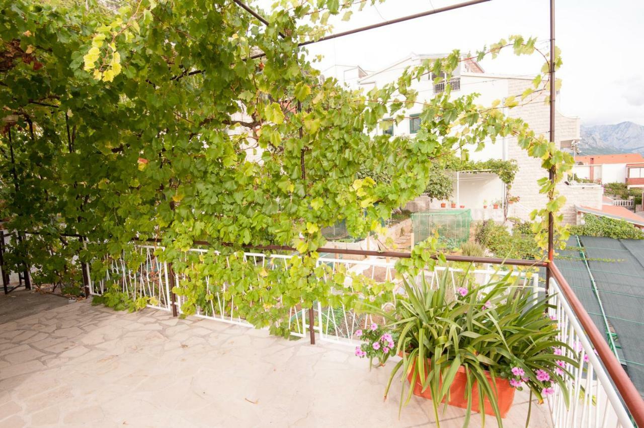 Apartmani Galija 皮萨克 外观 照片